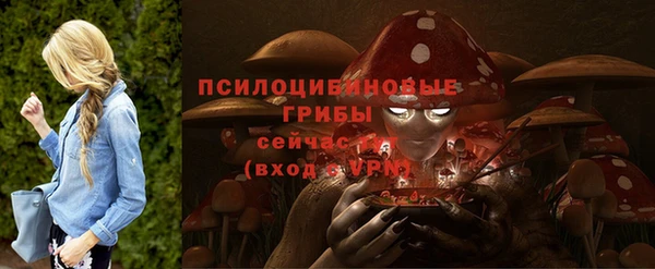 каннабис Белокуриха
